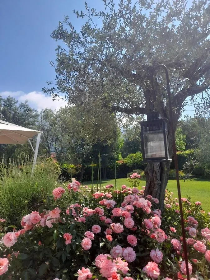 Villa la provenzale Camaiore 0*,  Italia