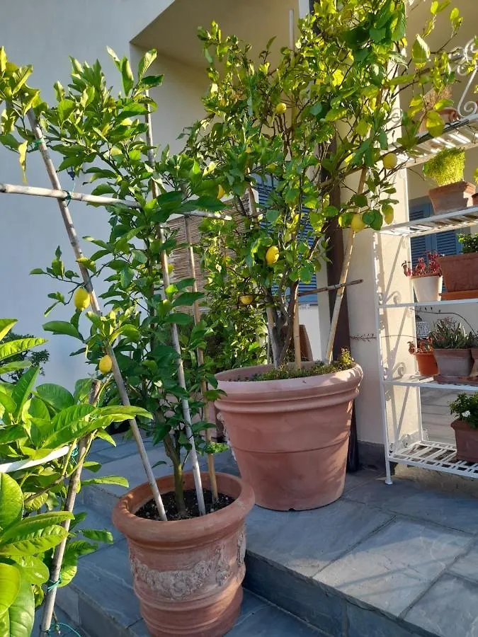 Villa La Provenzale Camaiore Italien