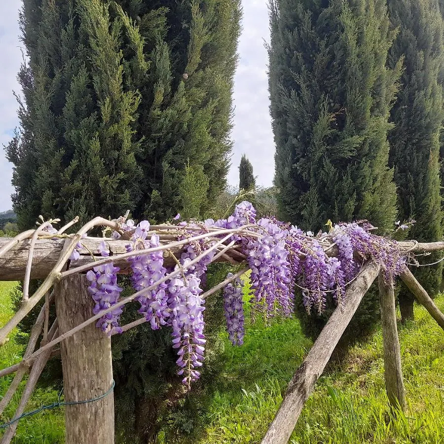Villa La Provenzale Camaiore