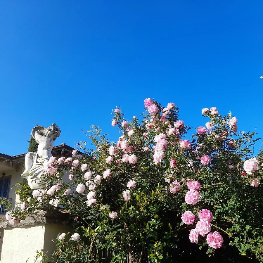 Villa la provenzale Camaiore Italia