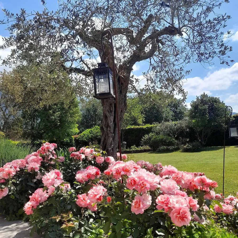 Villa La Provenzale Camaiore 0*,  Italien